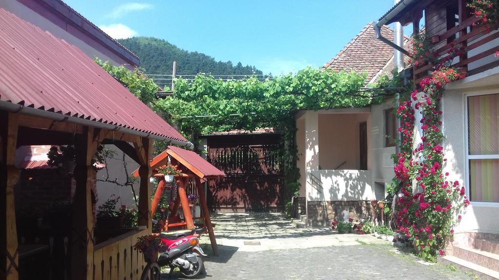 Pensiunea Razvan Gura Rîului 外观 照片